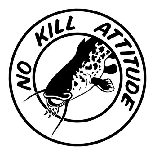 sticker NO KILL ref 19