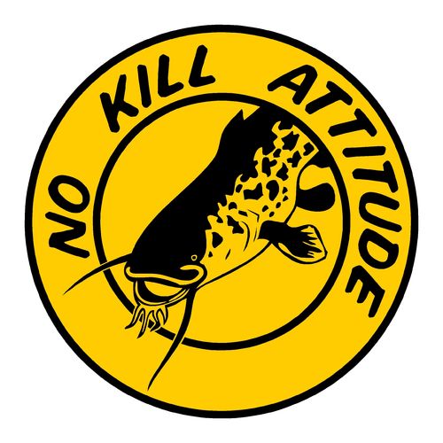 sticker NO KILL ref 20