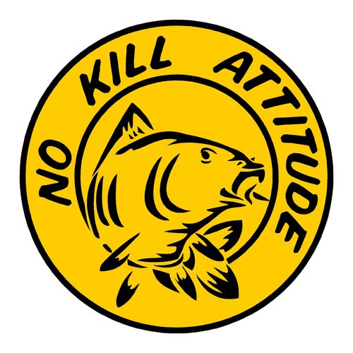 sticker NO KILL ref 22