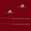 1 kit stickers PACIFIC CRAFT ref 6 DIAMOND HEAD 570